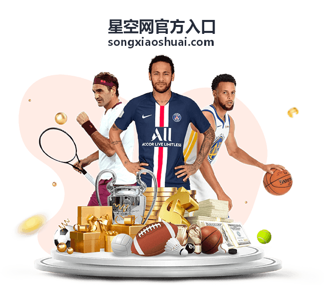 星空网官方入口地址核对示意