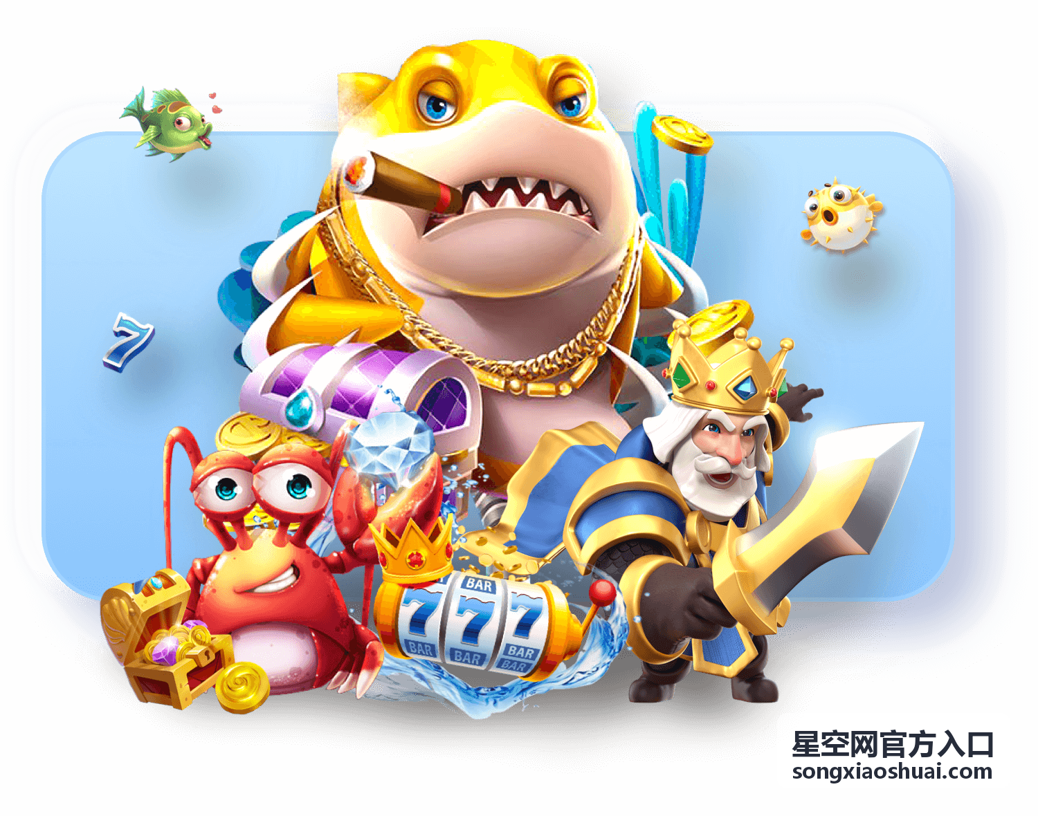 星空网官方入口账号登录状态检查