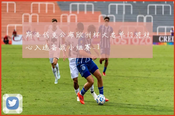 斯洛伐克公布欧洲杯大名单门将核心入选备战小组赛_1